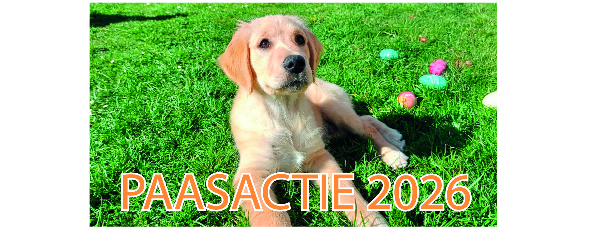 Paasactie 2026
