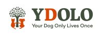 Ydolo_LogoTagYdolo_Horizontal